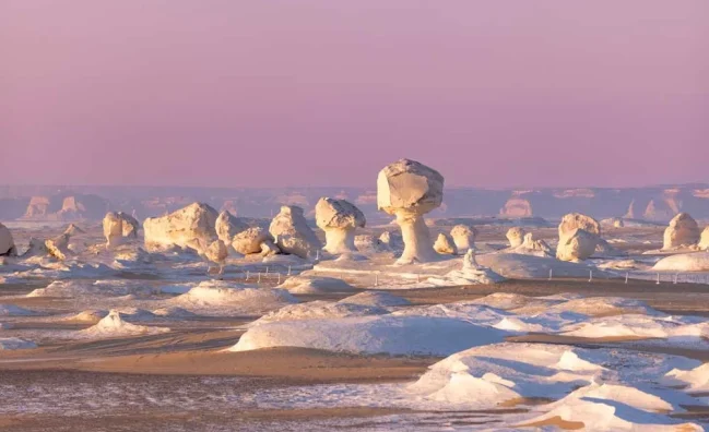 White & Black Desert Adventure – Full-Day & Overnight Tour