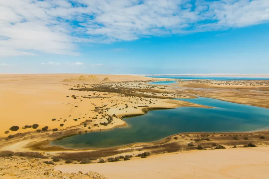 Full-Day Tour: Fayoum Adventure – Waterfalls, Wadi El Rayan, Wadi El Hitan & Sandboarding